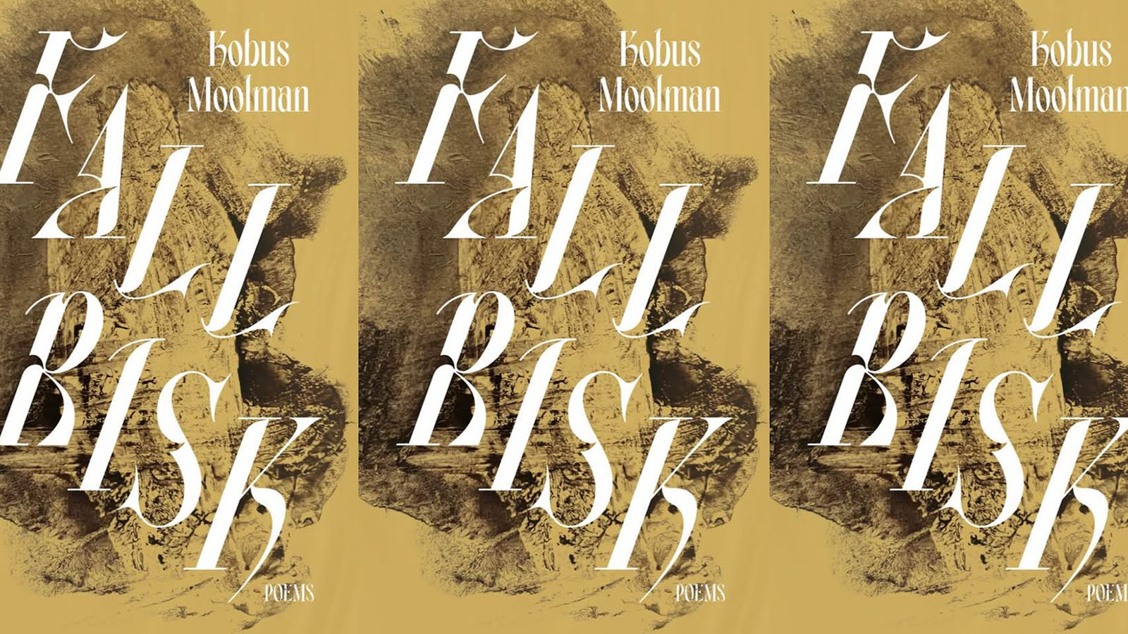 Kobus Moolman reads from Fall Risk