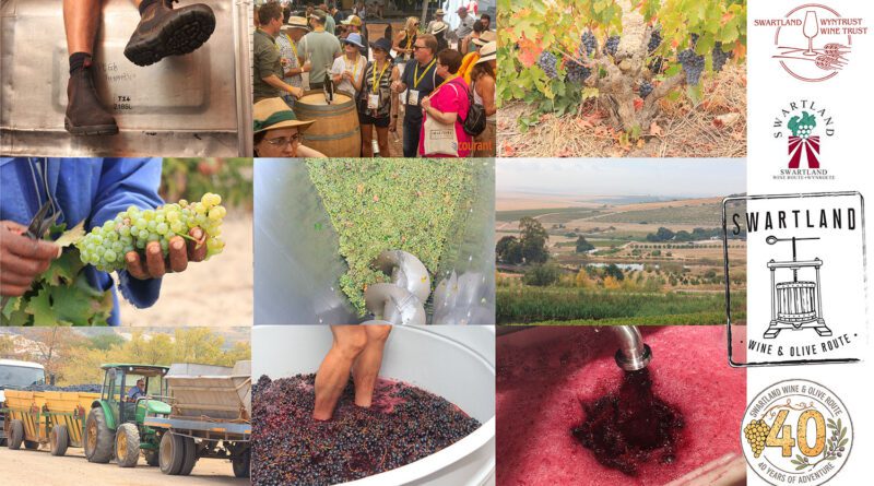 40 Jaar: Swartland Wyn- & Olyfroete verjaar vandag
