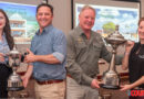 Darling Cellars, Pulpit Rock oes twee grotes op Swartland Jongwynskou