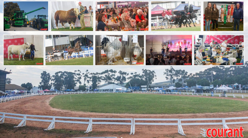 Swartlandskou: 4 dae van top-uitstallings en vermaak