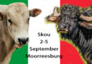 ‘n Tikkie Italië by Swartlandskou se beesafdeling